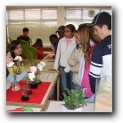 [Clique para ver tamanho real]